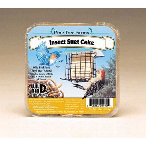 Insect Suet Cake Must order in 12's