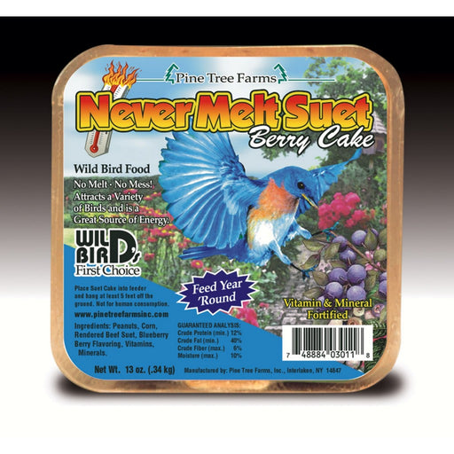 Never Melt Suet Berry 12 oz Must order in 12's