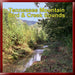 Tennessee Mountain Bird & Creek Sounds CD