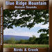 Blue Ridge Mountain Birds & Creek CD