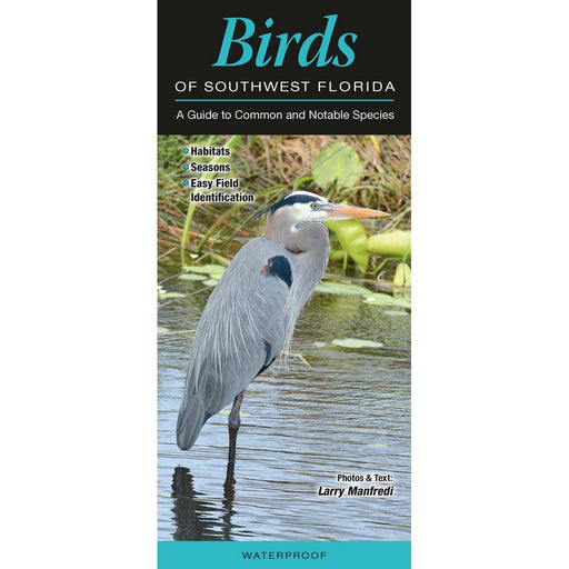 Birds of Southwest Florida