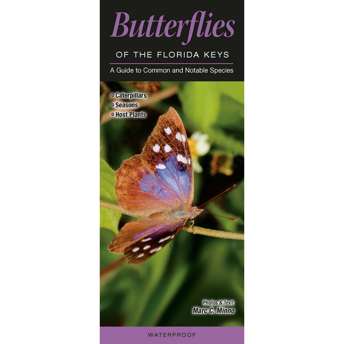 Butterflies of Florida Key by Marc C. Minno