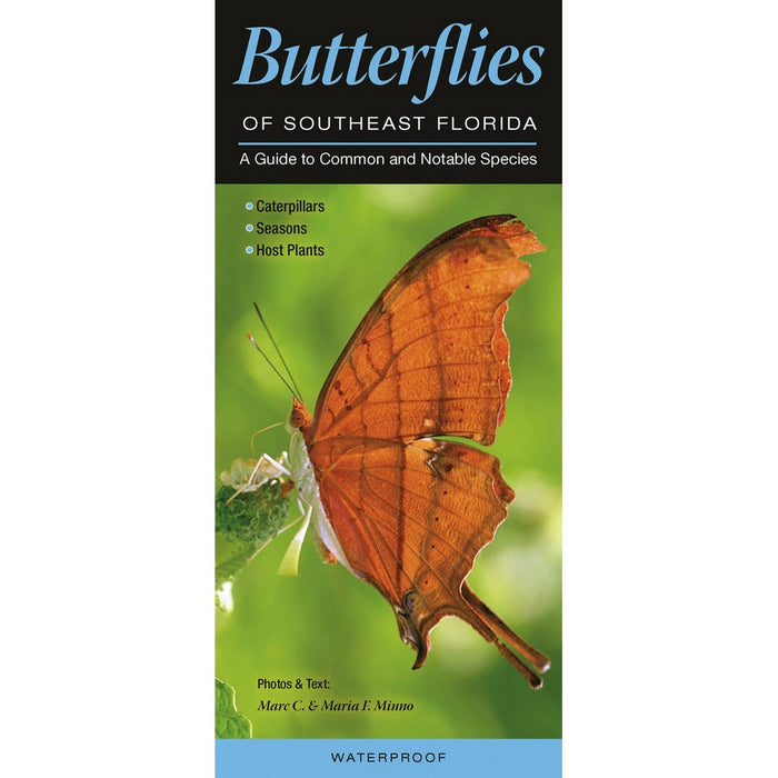 Butterflies of the Southeast Florida by Marc C. Minno