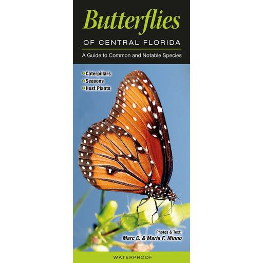 Butterflies of Central Florida