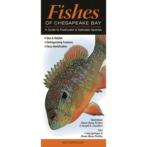 Fishes of the Chesapeake Bay by Craig Springer Diane Rome Peebles & Joseph R. Tomelleri