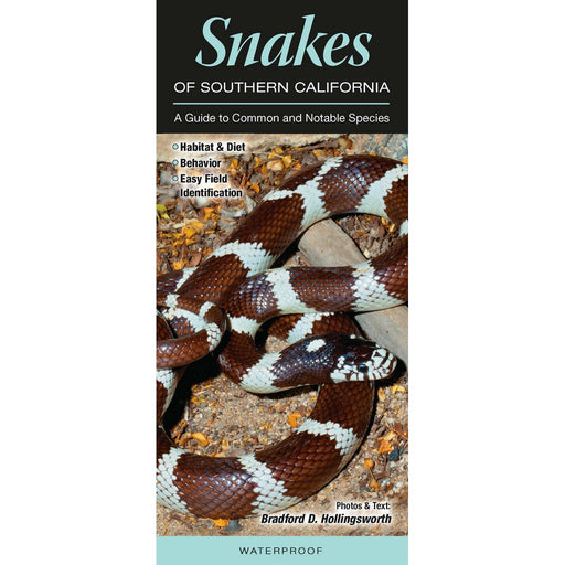 Snakes of Southern California by Bardford Holligsworth