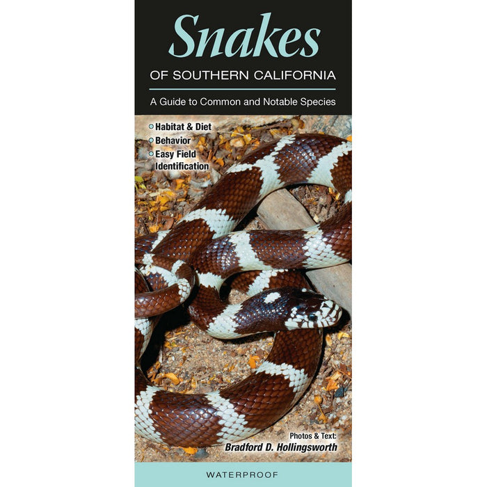 Snakes of Southern California by Bardford Holligsworth