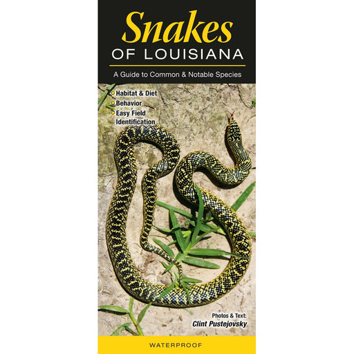 Snakes of Louisiana