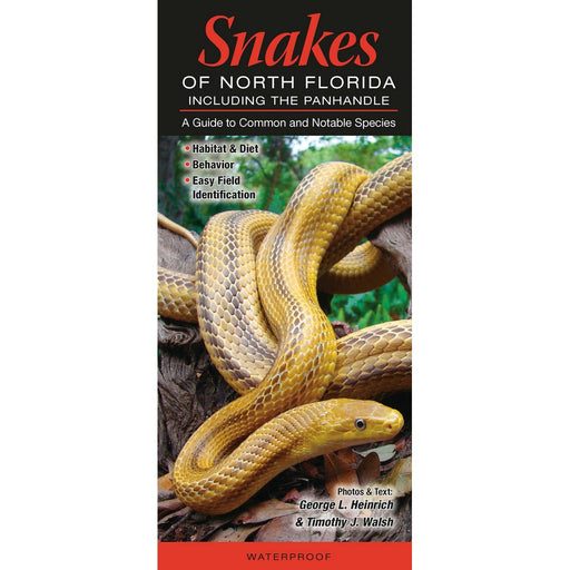 Snakes of Northern Florida by George L. Heinrich and Timothy J. Walsh