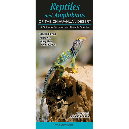 Reptiles & Amphibians of the Chihuahuan Desert  by Randall D. Babb