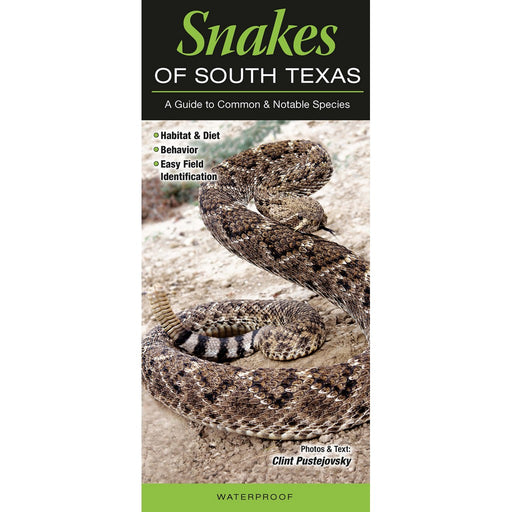 Snakes of South Texas by Clint Pustejovsky