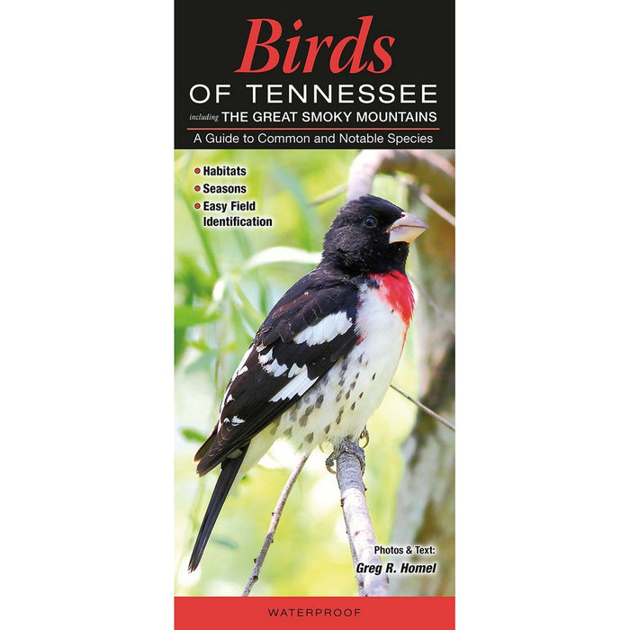 Birds of Tennessee by Greg Homel