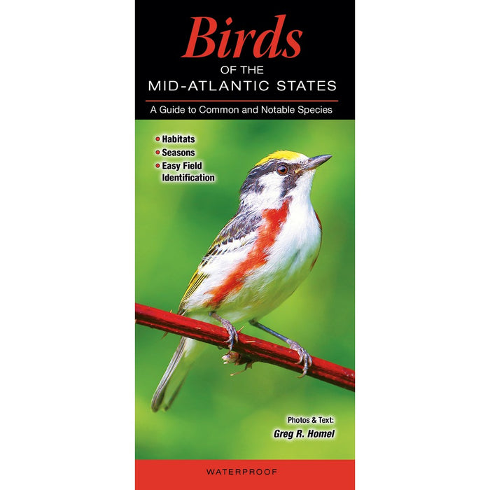 Birds of the Mid-Atlantic States