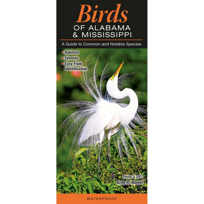 Birds of Alabama & Mississippi by Greg Homel