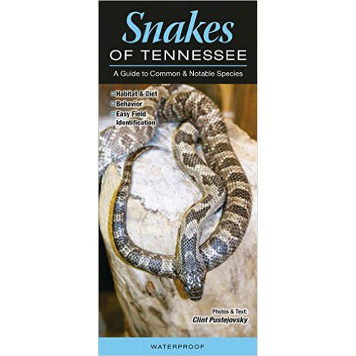 Snakes of Tennessee by Clint Pustejovsky