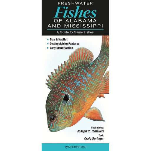 Saltwater Fishes of Alabama & Mississippi by Diane Rome Peebles