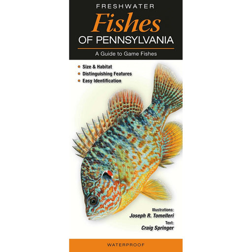 Freshwater Fishes of Pennsylvania by Craig Spring