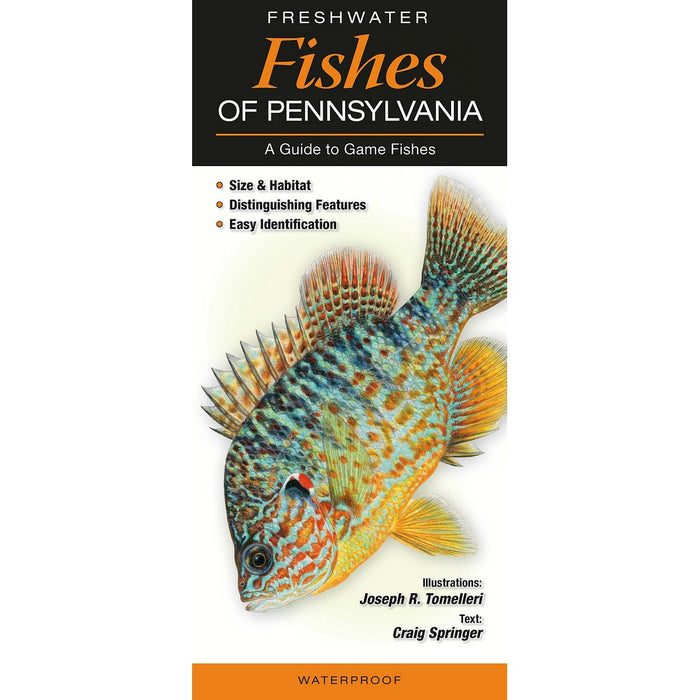 Freshwater Fishes of PA