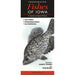 Freshwater Fishes of Iowa by Craig Springer
