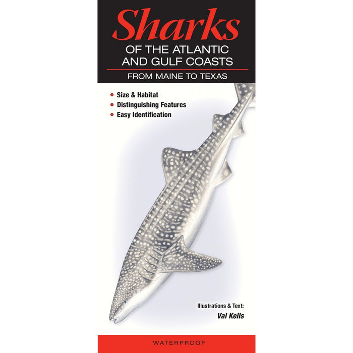 Sharks of the Atlantic and Gulf Coast by Val Kells