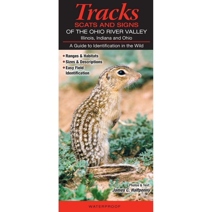 Tracks, Scats & Signs of the Ohio River Valley by James C. Halfpenny