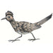 Roadrunner Large