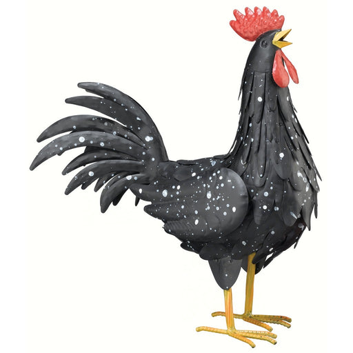 Black Rooster Medium