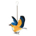 Bluebird Bouncie