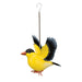 Gold Finch Bird Bouncie