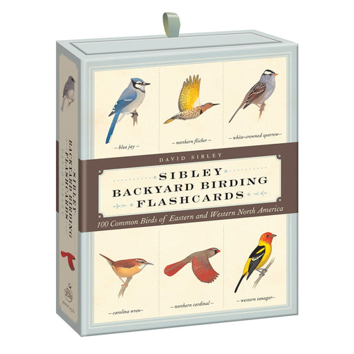 Sibley Backyard Birding Flashcards