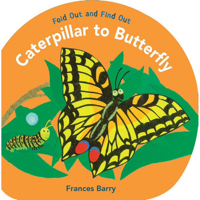 Caterpillar to Butterfly: Fold Out & Find Out by Frances Barry