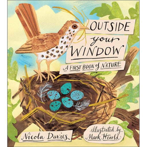 Outside Your Window A First Book of Nature