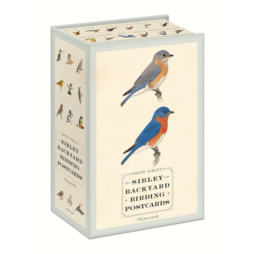 Sibley Backyard Birding Postcards (100 postcards)