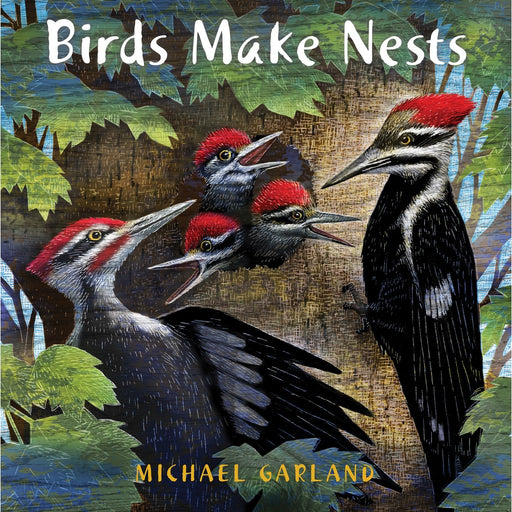 Birds Make Nests by Michael Garland