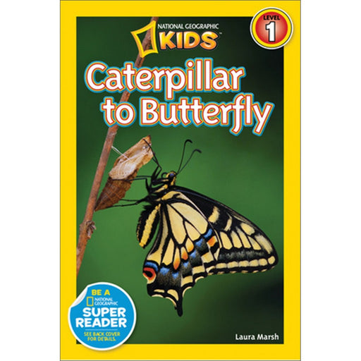 Caterpillar to Butterfly by Laura Marsh