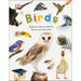 Birds: Explore Nature with Fun Facts & Activities