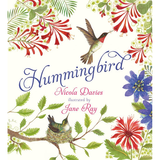 Hummingbird