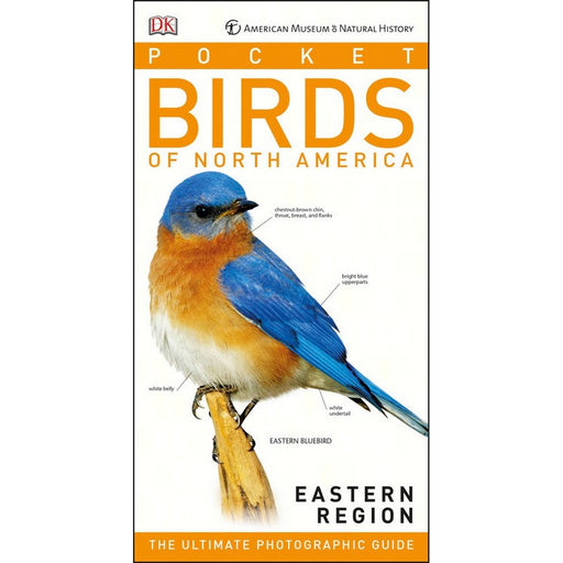 Pocket Birds of North America Eastern Region by Stephen Kress and Eilssa Wolfson
