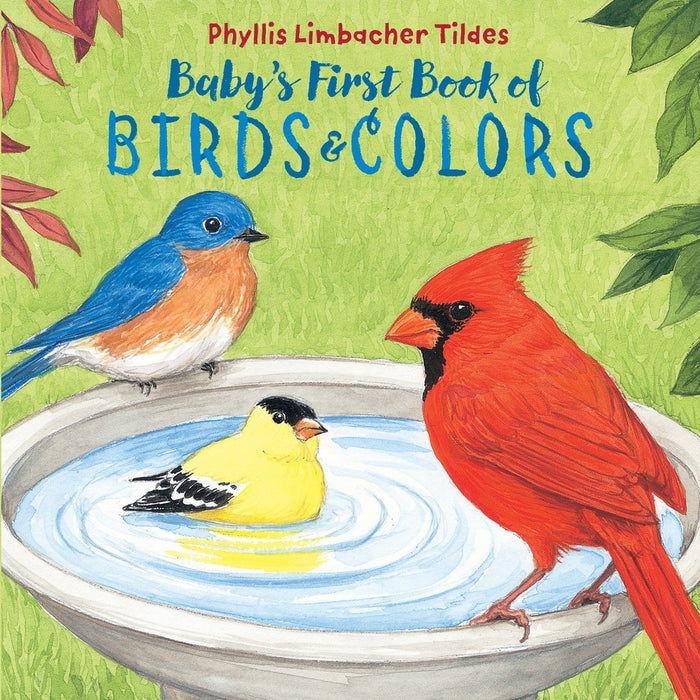 Baby's First Book of Birds & Colors by Phyllis Limbacher Tildes