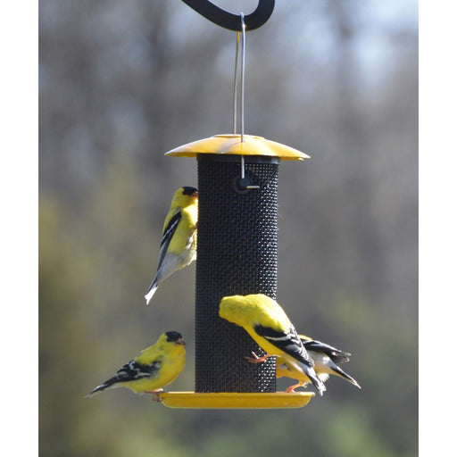 Petite Yellow Thistle Feeder