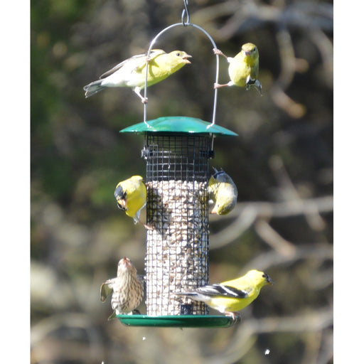 Petite Green Sunflower Feeder