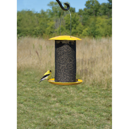 Mammoth Yellow Thistle Feeder