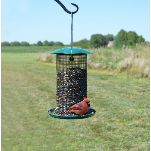 Mammoth Green Sunflower Feeder