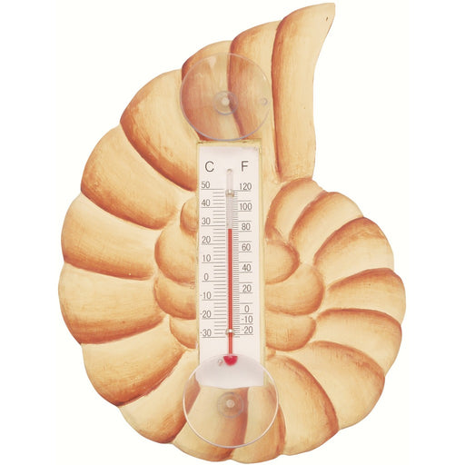 Brown Nautilus Shell Small Window Thermometer