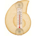 Cream Nautilus Shell Small Window Thermometer