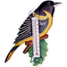 Thermometer Small Bird Baltimore Oriole