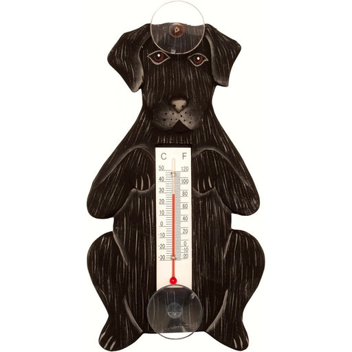 Begging Black Lab Small Window Thermometer