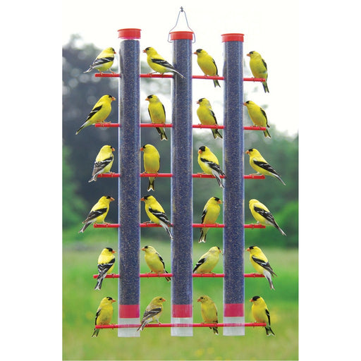 Finches Favorite, 3 Tube Feeder