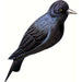 Purple Martin Birdhouse