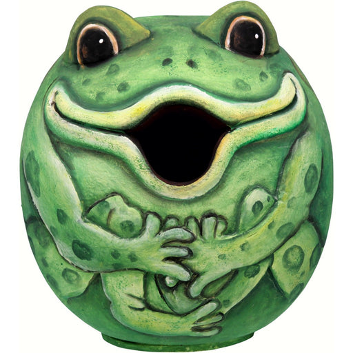 Frog Gord-O Birdhouse